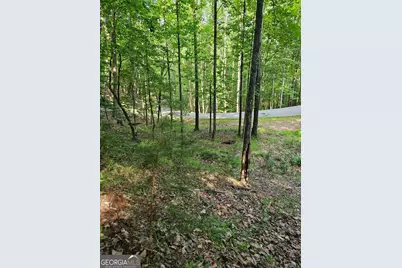 1111 Quail Cove Drive #1111, Jasper, GA 30143 - Photo 22