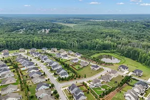 420 Southbridge Pass, Peachtree City, GA 30269 - Photo 60