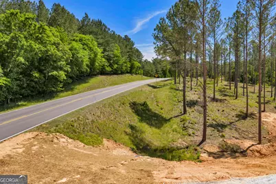 4 Lexington Estates - Hwy 22, Lexington, GA 30648 - Photo 4