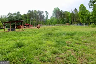 2570 Castleberry Bridge Rd, Dawsonville, GA 30534 - Photo 44