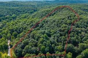 5198 Flat Branch Rd, Ellijay, GA 30540 - Photo 2