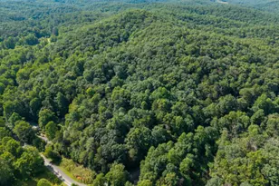 5198 Flat Branch Rd, Ellijay, GA 30540 - Photo 12