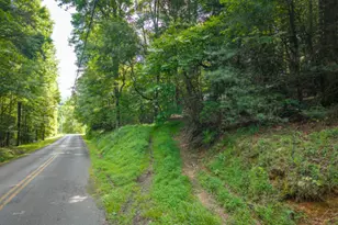 5198 Flat Branch Rd, Ellijay, GA 30540 - Photo 16