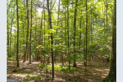5198 Flat Branch Road, Ellijay, GA 30540 - Photo 14