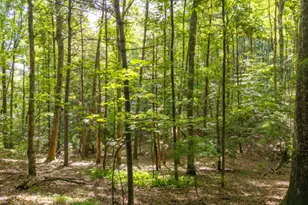 5198 Flat Branch Rd, Ellijay, GA 30540 - Photo 14