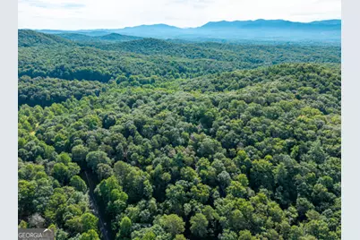 5198 Flat Branch Road, Ellijay, GA 30540 - Photo 10