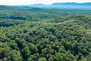 5198 Flat Branch Rd, Ellijay, GA 30540 - Photo 10
