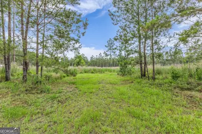 000 Wood Grove Lane, Richmond Hill, GA 31324 - Photo 6