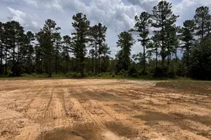 558 Mosley Bridge Rd, Claxton, GA 30417 - Photo 22