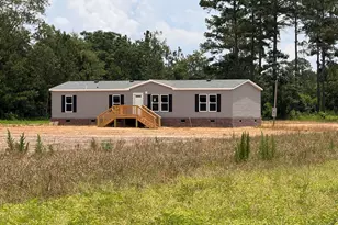 558 Mosley Bridge Rd, Claxton, GA 30417 - Photo 1