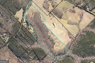 495 Bragg Rd, Monticello, GA 31064 - Photo 56