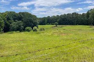 495 Bragg Rd, Monticello, GA 31064 - Photo 52