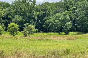 495 Bragg Rd, Monticello, GA 31064 - Photo 54