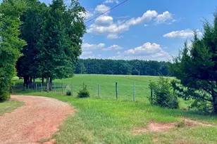 495 Bragg Rd, Monticello, GA 31064 - Photo 46