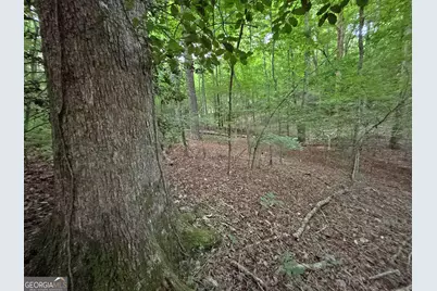 Lot 20 Mt Springer Road, Ellijay, GA 30540 - Photo 18