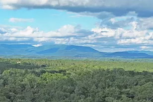 Lot 20 Mt Springer Rd, Ellijay, GA 30540 - Photo 1