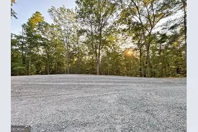 Lot 20 Mt Springer Road, Ellijay, GA 30540 - Photo 10