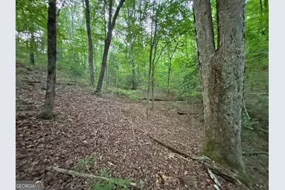 Lot 20 Mt Springer Road, Ellijay, GA 30540 - Photo 30
