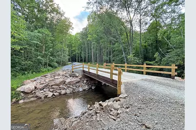 Lot 20 Mt Springer Road, Ellijay, GA 30540 - Photo 4