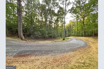 Lot 20 Mt Springer Road, Ellijay, GA 30540 - Photo 26