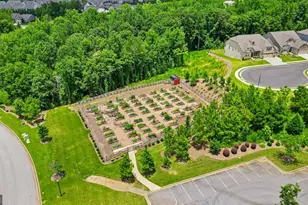 137 Mulberry Ct, Peachtree City, GA 30269 - Photo 64