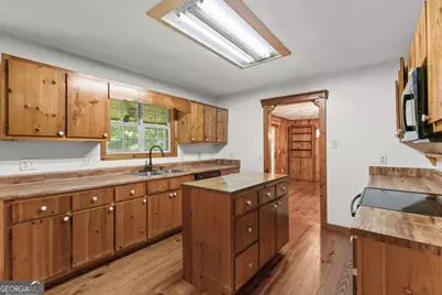 51 Haddock Drive, Blue Ridge, GA 30513 - Photo 24