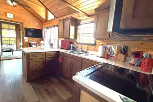335 Golden Nugget Rd, Blairsville, GA 30512 - Photo 6