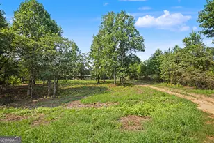 385 Duncan Rd, Carrollton, GA 30116 - Photo 34