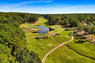 1060 Emerald View Dr, Greensboro, GA 30642 - Photo 44