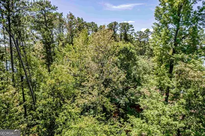 1031 Chieftian Way, White Plains, GA 30678 - Photo 4
