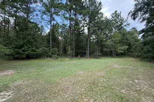 3356 Hwy 338, Dexter, GA 31019 - Photo 46