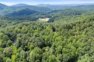 218 Hester Gap Rd, Cleveland, GA 30528 - Photo 38