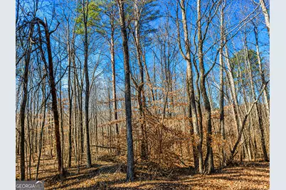 2 Acres Pettit Road, Jasper, GA 30143 - Photo 1