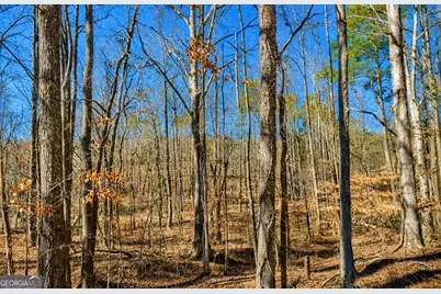 2 Acres Pettit Road, Jasper, GA 30143 - Photo 2