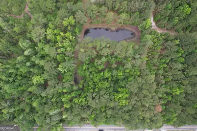 1.5 Acres Mt Pleasant Road, Clyo, GA 31303 - Photo 2