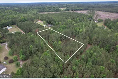 1.5 Acres Mt Pleasant Road, Clyo, GA 31303 - Photo 4