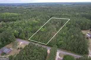 1 5 Acres Mt Pleasant Rd, Clyo, GA 31303 - Photo 1