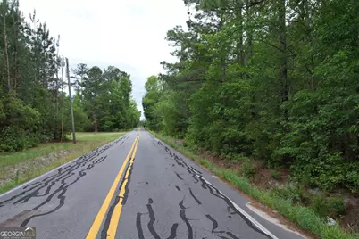 1.5 Acres Mt Pleasant Road, Clyo, GA 31303 - Photo 16