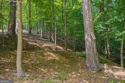 109 Edgewater Drive, Ellijay, GA 30540 - Photo 20