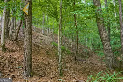 109 Edgewater Drive, Ellijay, GA 30540 - Photo 22