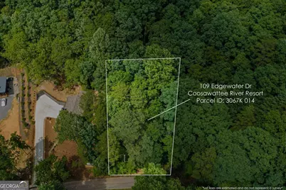 109 Edgewater Drive, Ellijay, GA 30540 - Photo 8
