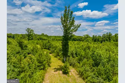 47.7 Acres Cochran Road, Madison, GA 30650 - Photo 10