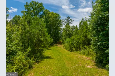 47.7 Acres Cochran Road, Madison, GA 30650 - Photo 6