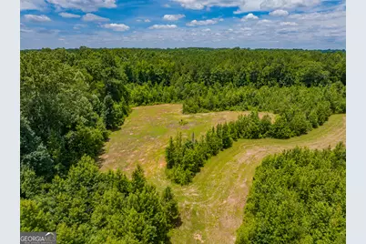 47.7 Acres Cochran Road, Madison, GA 30650 - Photo 1