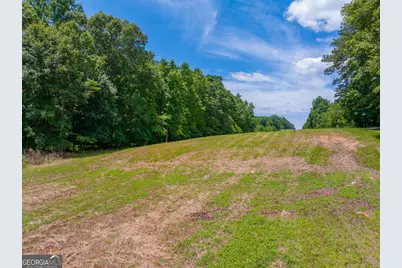 21.4 Acres Cochran Road, Madison, GA 30650 - Photo 6