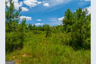 21.4 Acres Cochran Road, Madison, GA 30650 - Photo 4