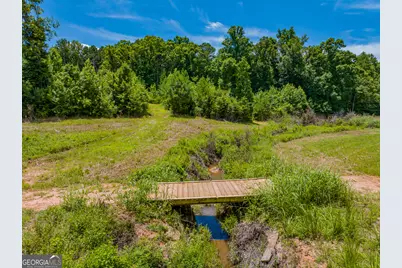 21.4 Acres Cochran Road, Madison, GA 30650 - Photo 10