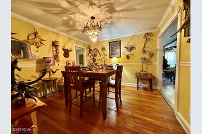 177 W Brewton Street, Mcrae, GA 31037 - Photo 28