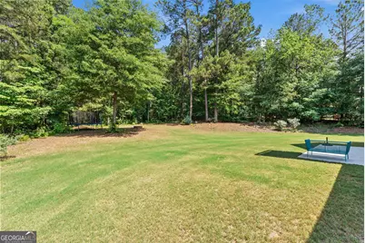 3142 Whitlow Creek Drive, Bishop, GA 30621 - Photo 42