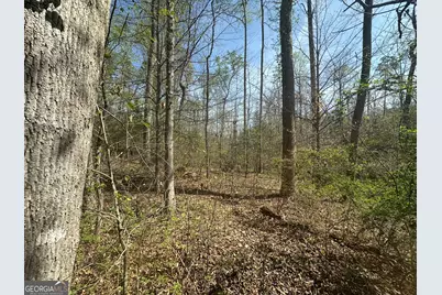 196 Chateau Village Drive, Martin, GA 30557 - Photo 2